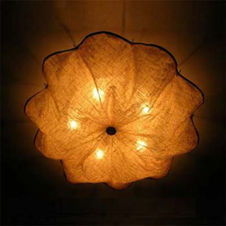 �����FLOS�L��F(xi��n)����