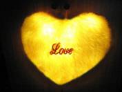 �l(f��)�Ⱨ�����ǂ��û��