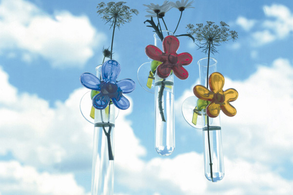 ���ɐ��n����(chu��ng)���¼Ҿ�