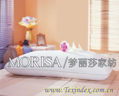 ����ɯ��������Ĝء�о���ʫI(xi��n)