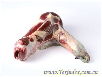 �i�����ļҾ���Ʒ�������