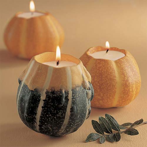 ��Ȥ����fʥ��(ji��)�Ɍ��Ҿ�Ʒ