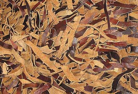 ��Ƥʣ�����Խ���ţƤ̺