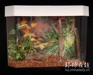 ���B(y��ng)�~���RͰ�l(w��i)ԡ����Ȥ