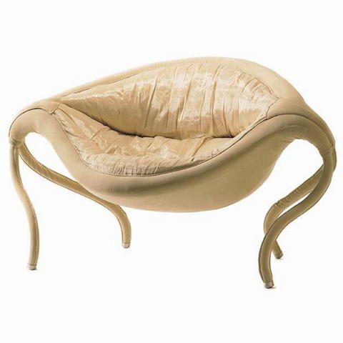 Ȥζ�ĺ���ܛ�w������