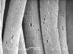 ��̿�w�S��ʮһ���o(j��)�h(hu��n)�����l(w��i)ʿ