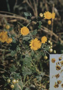 ����ջ�����ˎ���ͽ���