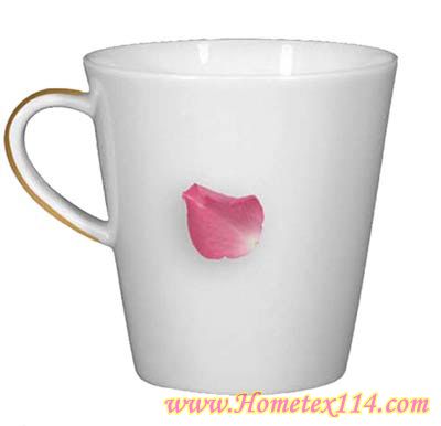 �����һ��t�����Ĳ;�������