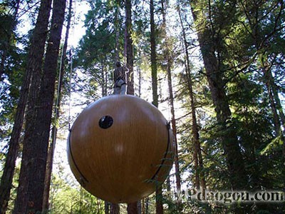 ������˼��(chu��ng)�����w�Ƅ�(d��ng)����