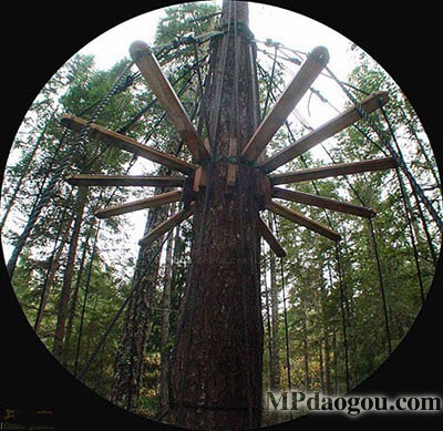 ������˼��(chu��ng)�����w�Ƅ�(d��ng)����