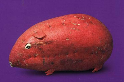 Ω��ΩФ�Ą�(chu��ng)���߲�����