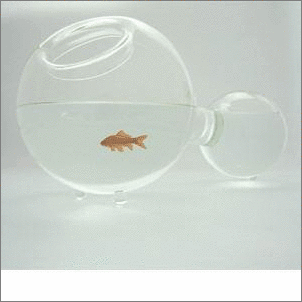 ��Ҿ�Ʒ�w��(hu��)��һ�ӵ�����