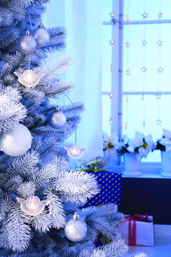 ʥ�Q�b��ռ��I(y��ng)������