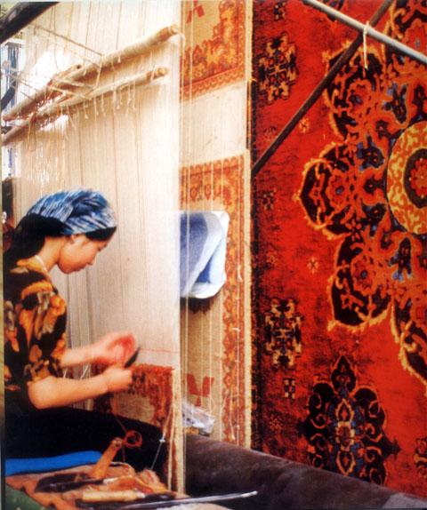 �����̺����W�\(y��n)��������