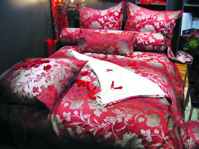 2008���m�˸��Ҽ�չ��׃Ę��