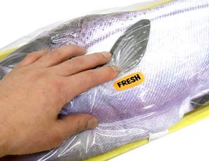 �@�������r�����~������