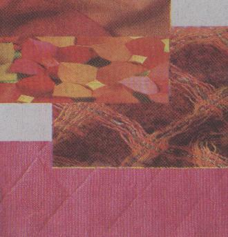 2009���ļ���ɫ������څ��