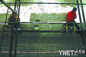 ���B���� ��̺����W�\(y��n)Ԫ��