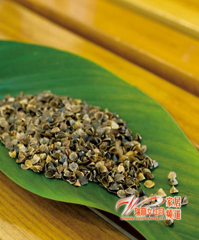 �������x����˯�ߵ�����