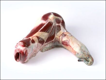 �в����i�����ļҾ���Ʒ