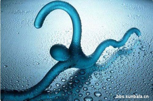 �_(t��i)��ͬ���O(sh��)Ӌ(j��)�ĊW�\(y��n)Ԫ���¼�