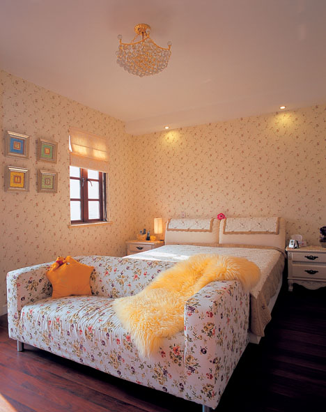 ����2009�괺�ăɼ��Ҽ�ɫ��