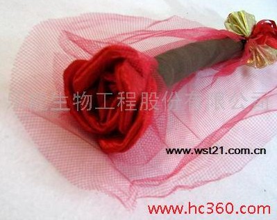 ��ˇ�b��S������(r��n)���̼Ҍ���