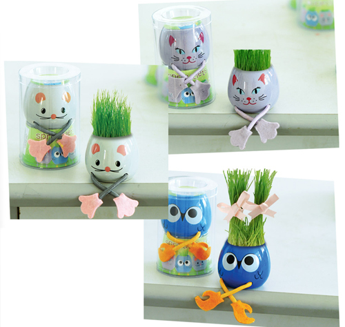 �r(sh��)�Є�(chu��ng)��ɐۭh(hu��n)�����^����