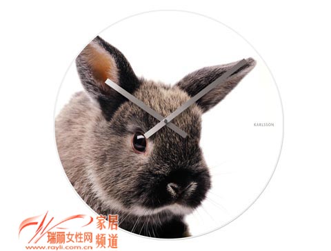 ��Ȥ"犱�"׌��һҊ(ji��n)"�"�飨һ��