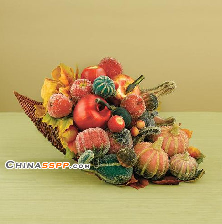 ��(g��)�Ԫ�(d��)�� ˮ���߲˼Ҿ��Ʒ