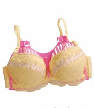 �ף����w���،�(zhu��n)�������