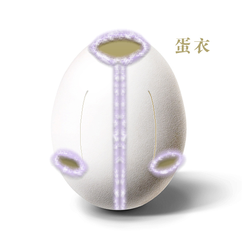 ���᣺�u����(chu��ng)����Ʒ���p