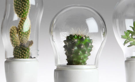 ������Ц����ѝ�ӵ�����