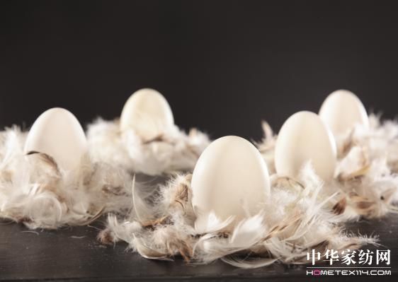 �Ї���q���߮a(ch��n)�I(y��)�l(f��)չ�ߌ�Փ�����_