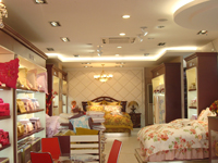 ������˹���u(m��i)��չʾ