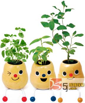 ��(chu��ng)��N��С�Ʒ�o������c(di��n)�ϣ�һ��