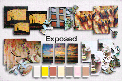 �����޻���˾2010��������ɫ��