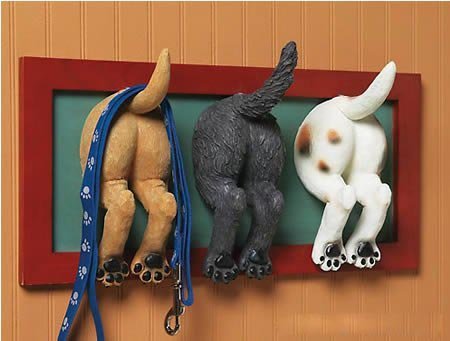 12��(g��)��(chu��ng)�≦�^��(d��)���