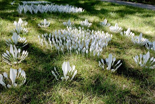 һ���Բ;�ƴ���e��ˇ�g(sh��)