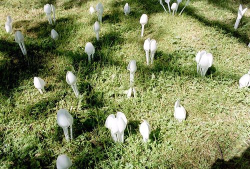 һ���Բ;�ƴ���e��ˇ�g(sh��)