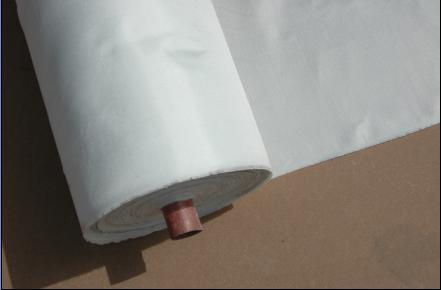 �����w�S��