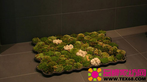 ��(chu��ng)���̺׌��ļҾӸ��킀(g��)��