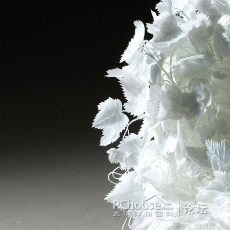 ���׵Ę��~�����Є�(chu��ng)�⵫�ܹª�(d��)