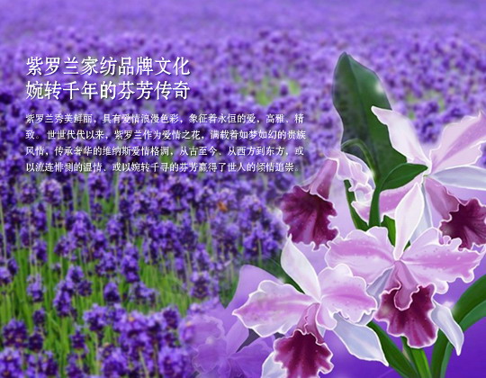 ���_�m�Ҽ�Ԋ�����b