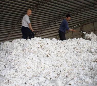 �ރr(ji��)��(y��n)���µ� ���޳ɟo(w��)��֮�e