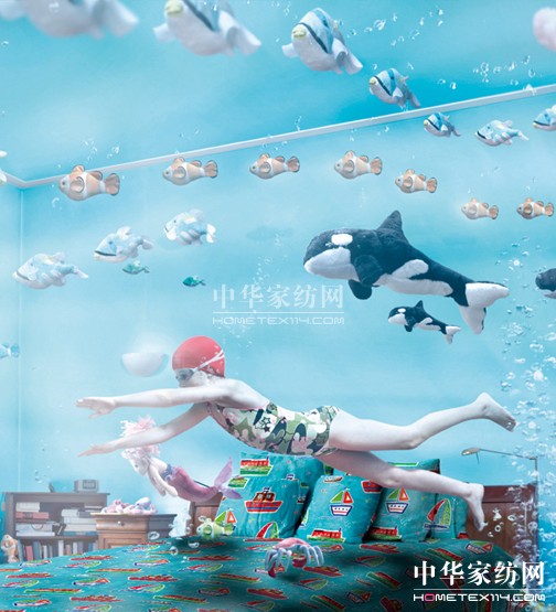 �{���` ���l(f��)�������С��{ɫ�L����