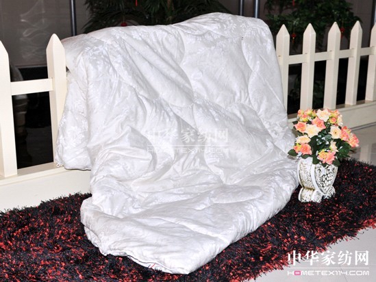 �{(l��n)���Ҽ�2011�����ƏV��