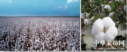 ���N�������N��һ�w�� ��(chu��ng)����Ҽ��wϵ