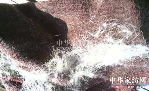 �t��ʿ�Ҽ��|(zh��)���T�������