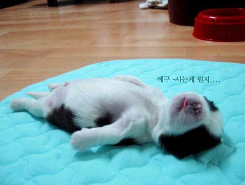 �H�������˯һС�r(sh��)����